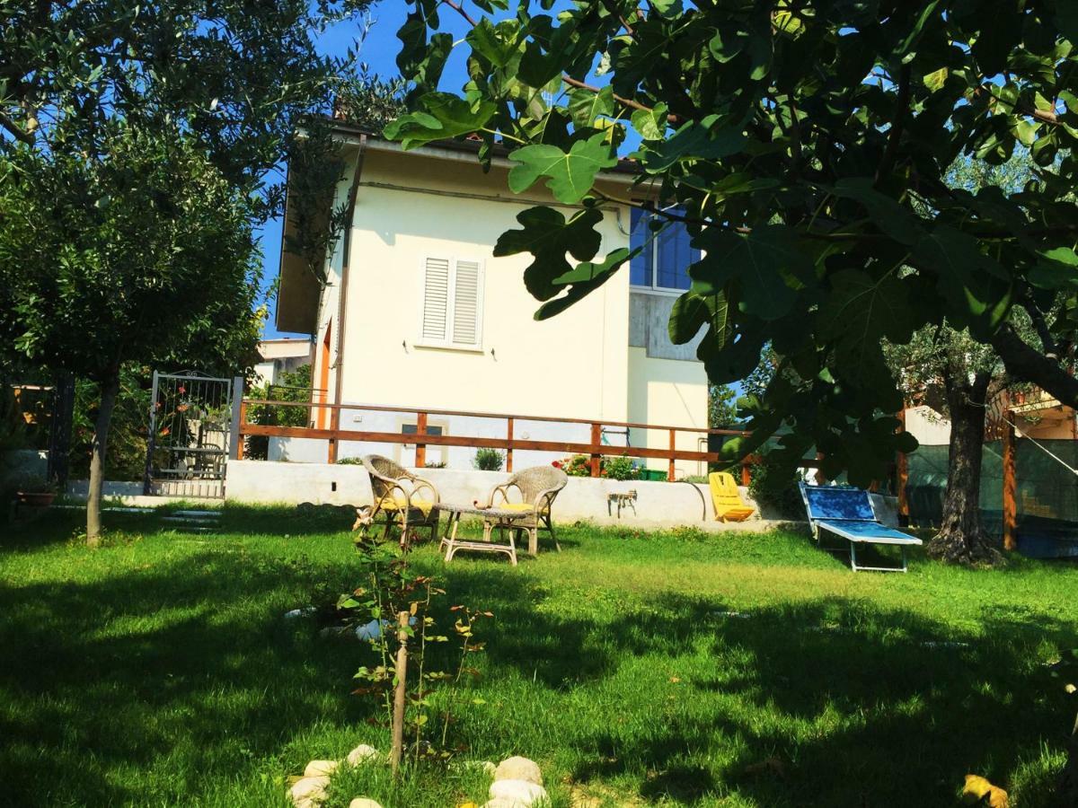 Sant'OmeroIl Gruccione住宿加早餐旅馆 外观 照片